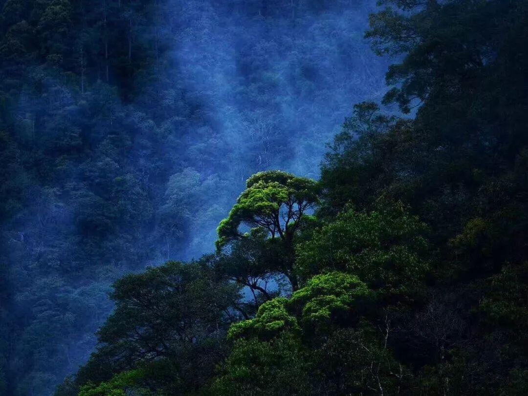 突击英雄
