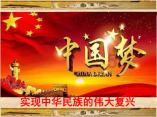 虎虎生威虎纹装