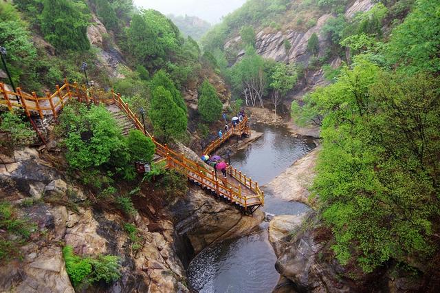 建筑规划设计中，环境绿化对改善居住区微气候有哪些益处游戏画面
