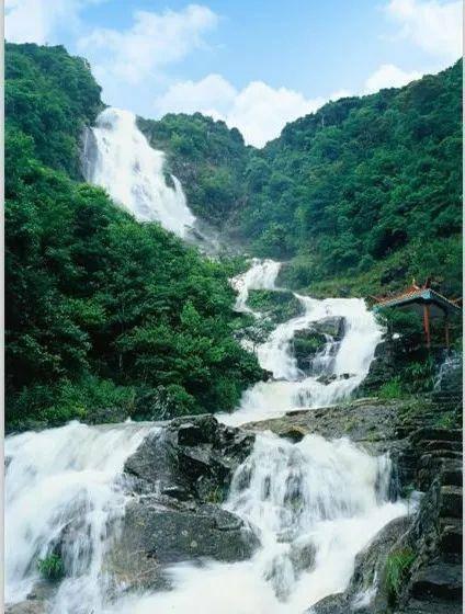 陈粒新歌《和平鸽》上线,她在民谣类的曲目中有哪些代表作?,探索知识星球的无限可能