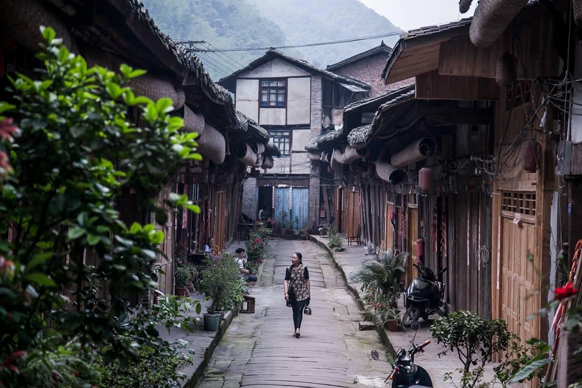 美人鱼的聚会
